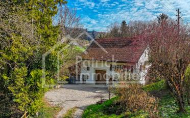 Bauernhaus 9 Zimmer - image - 13