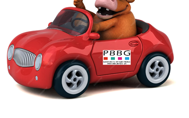 Tiefgarage - image - 1