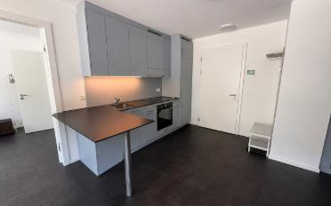 Appartement 3.5 pièces - image - 1