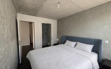 Wohnung 3 Zimmer - image - 5