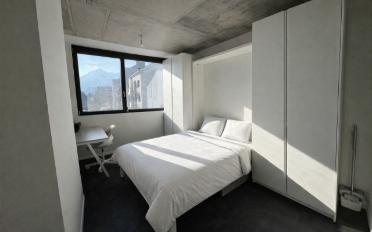 Wohnung 3 Zimmer - image - 8