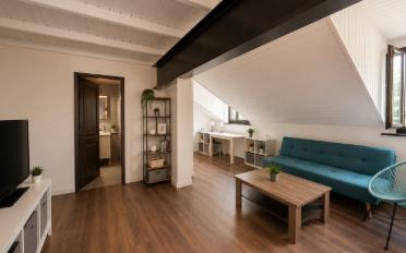 Wohnung ein Zimmer - image - 4