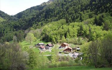 Chalet 5.5 pièces - image - 4