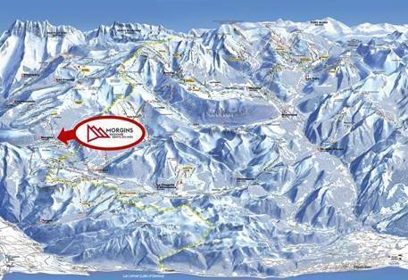 Morgins