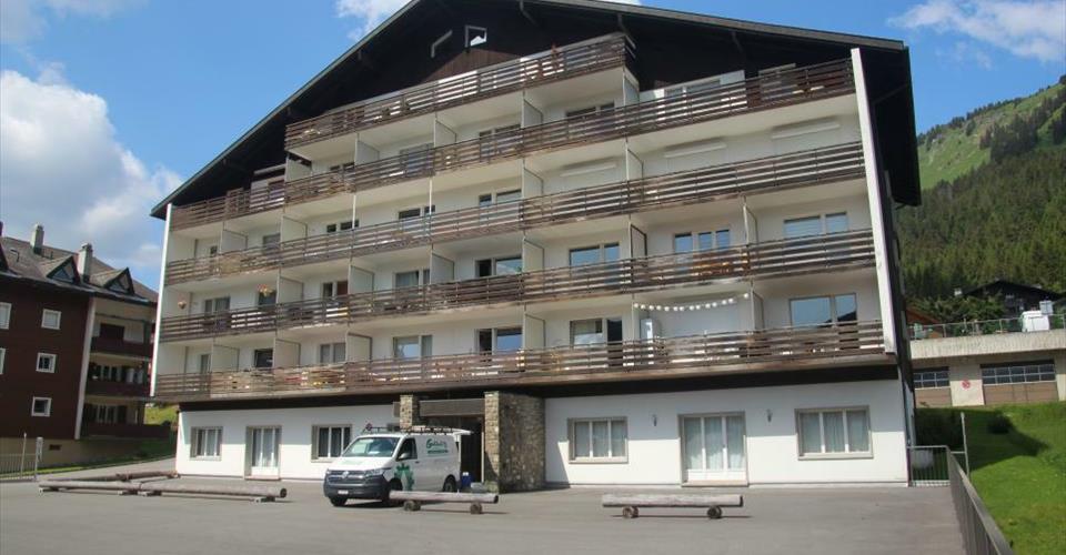 Morgins