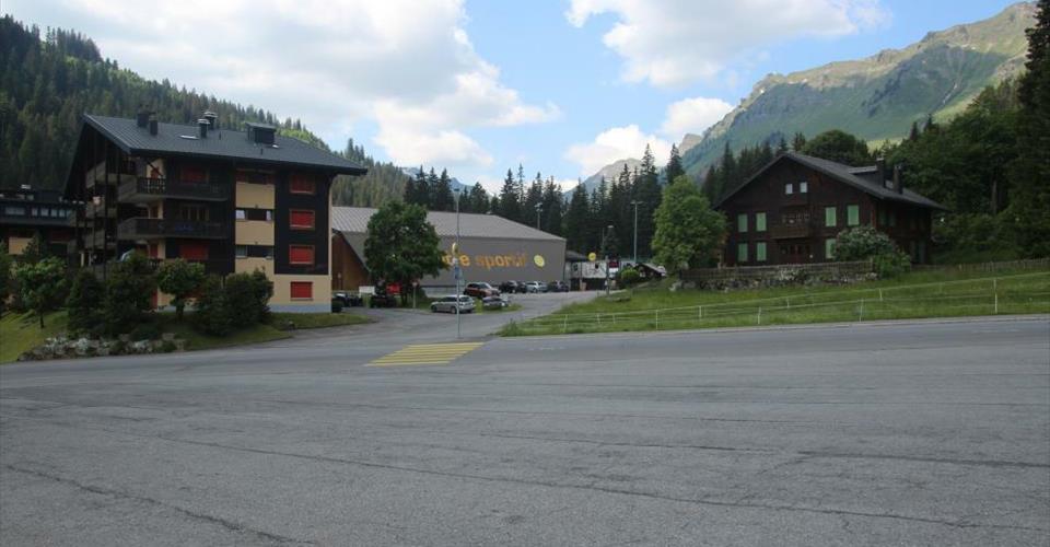 Morgins