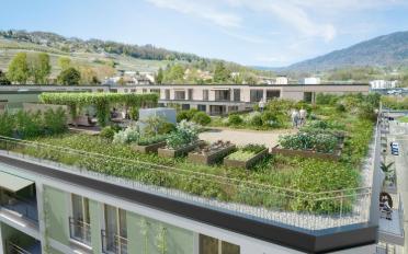 Wohnung 3.5 Zimmer - image - 2