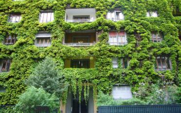 Appartement 2 pièces - image - 10