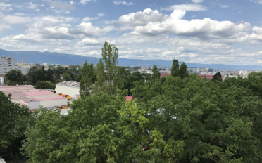 Wohnung 4 Zimmer - image - 8