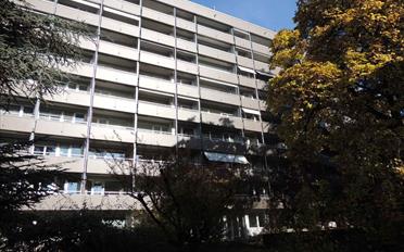 Wohnung ein Zimmer - image - 1