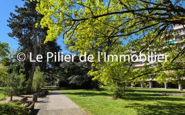Apartment - image - 1