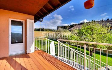 Single house 10 rooms - image - 1