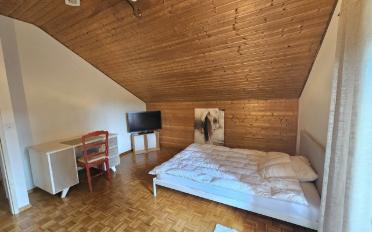 Single room 1 room - image - 2