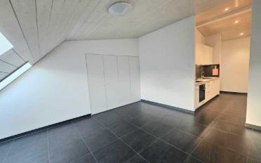 Attic flat 3 rooms - image - 1