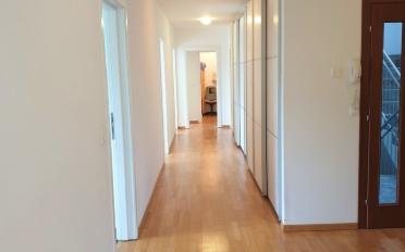 Single room 1 room - image - 4