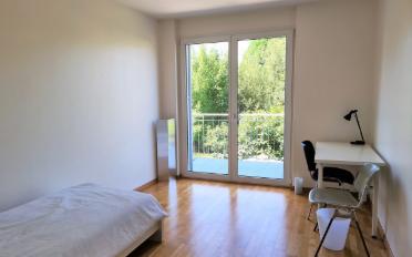 Single room 1 room - image - 1