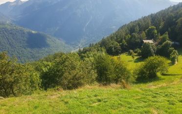 Terrain à bâtir - image - 2