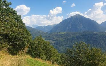 Terrain à bâtir - image - 4