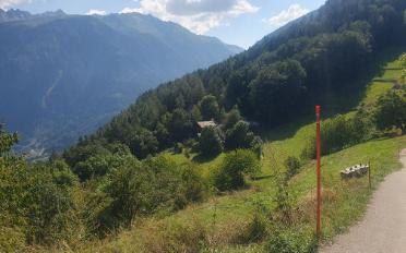 Terrain à bâtir - image - 5