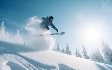Chalet 6.5 pièces - image - 10