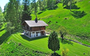 Chalet 4.5 Zimmer - image - 1