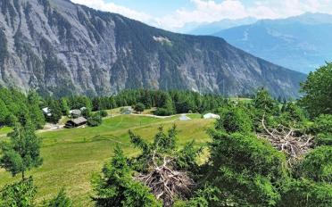 Chalet 6 Zimmer - image - 3