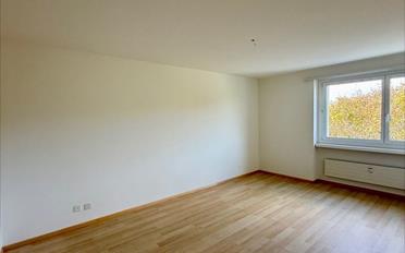 Wohnung 4 Zimmer - image - 8