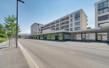 Wohnung 3.5 Zimmer - image - 1