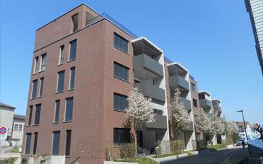 Appartement 2.5 pièces - image - 1