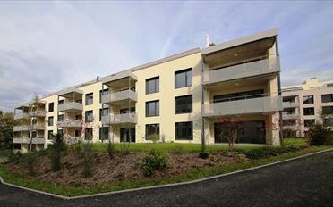 Wohnung 3.5 Zimmer - image - 1