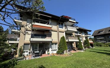 Wohnung 2.5 Zimmer - image - 1