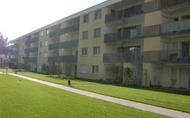 Wohnung 3.5 Zimmer - image - 1