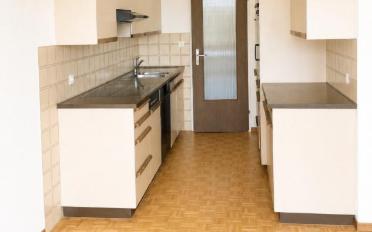 Duplex 5.5 pièces - image - 2