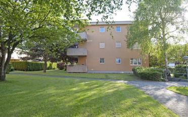 Wohnung 3.5 Zimmer - image - 1