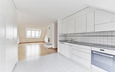 Dachwohnung 5.5 Zimmer - image - 5