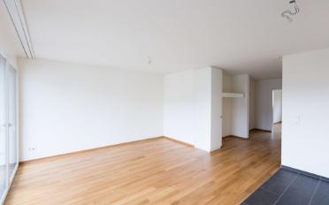Wohnung 2.5 Zimmer - image - 2