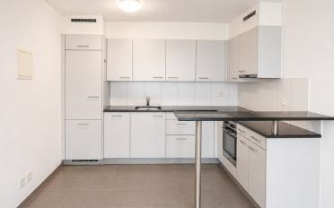Appartement 2.5 pièces - image - 3