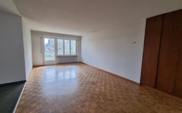 Appartement 3.5 pièces - image - 2