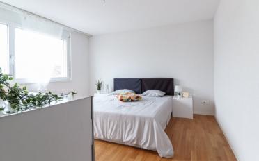 Wohnung 3.5 Zimmer - image - 7