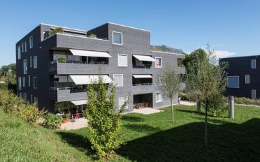 Wohnung 2.5 Zimmer - image - 1