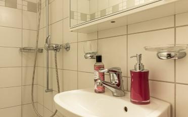 Duplex 5.5 rooms - image - 6