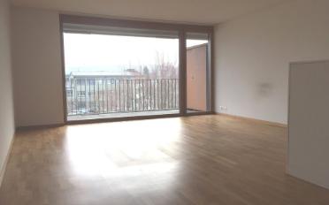 Wohnung 3.5 Zimmer - image - 2