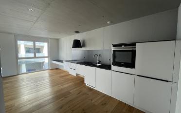 Apartment 2.5 rooms - image - 5