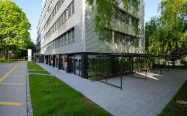 Studio ein Zimmer - image - 1