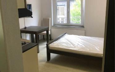 Furnished flat 1 room - image - 2