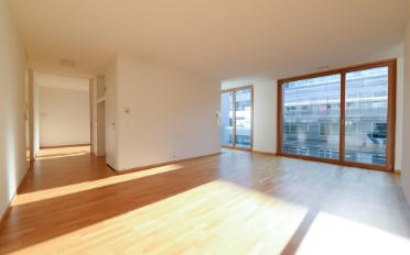 Wohnung 2.5 Zimmer - image - 2