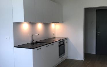 Apartment 2.5 rooms - image - 4