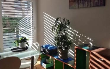 Apartment - image - 5