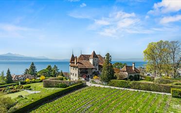 Schloss 12.5 Zimmer - image - 1
