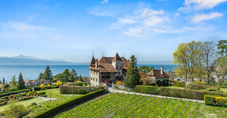 Château de Bochat Authentique et de nature familiale